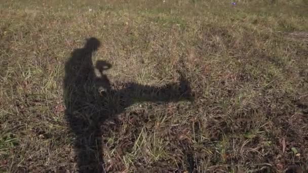 薄い茶色の地面に細い男を移動するの影、厚い草で覆われて. — ストック動画