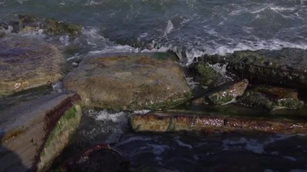 Naturalny widok fal morskich lub przypływów oceanicznych pokrywają mokre brązowe skały na brzegu. — Wideo stockowe