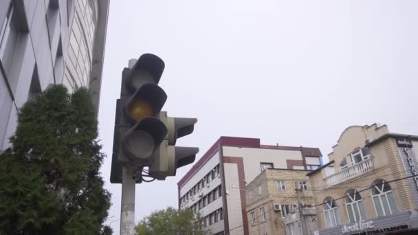 Blinking black traffic light in street with surrounding buildings and trees. — ストック動画