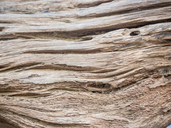 Hout textuur / hout textuur achtergrond — Stockfoto
