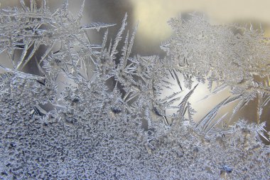 frost desen kış penceresindeki çeşitli