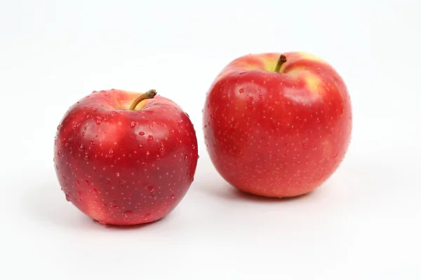 Два червоних яблука на білому тлі — стокове фото