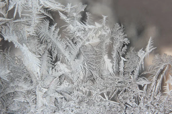 Variedade de padrões de geada em uma janela de inverno — Fotografia de Stock