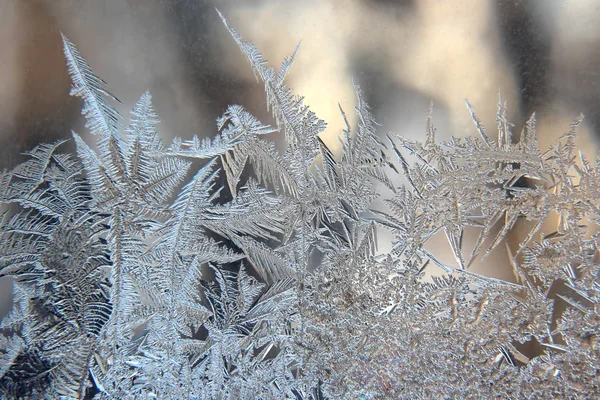 Padrões de geada no vidro de inverno — Fotografia de Stock