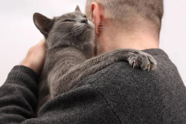 Gato cinza sentado no ombro de um homem — Fotografia de Stock