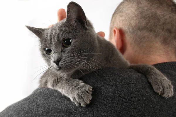 Gato gris sentado en el hombro de un hombre — Foto de Stock