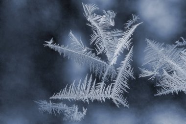 pencere camına benzersiz buz kalıpları