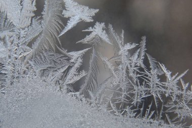 Frost desen kış camına