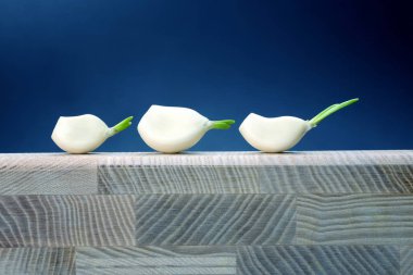 mavi arka plan ağaçta üç başlı sarımsak yanıyor