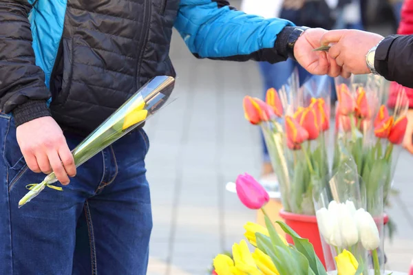 Det en person köper blommor tulpaner — Stockfoto