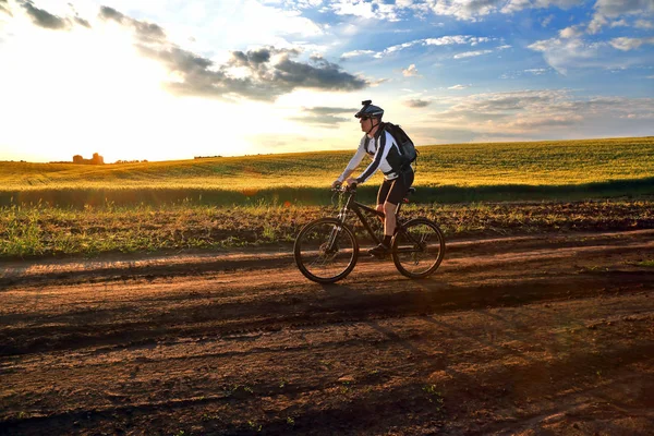 Radler auf Radtouren entlang der Weizenfelder im Sonnenlicht — Stockfoto