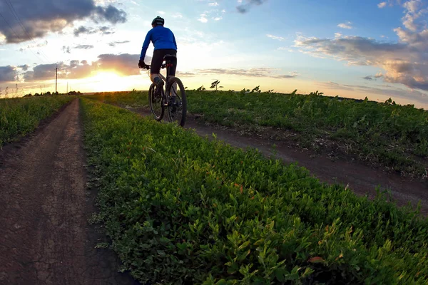Radler fährt bei Sonnenuntergang mit dem Fahrrad auf einem Radweg — Stockfoto