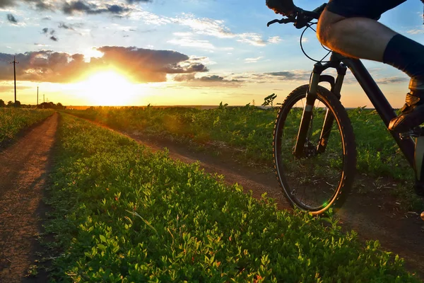 bisikletçi bir bisiklet ile günbatımında bir yolda gidiyor