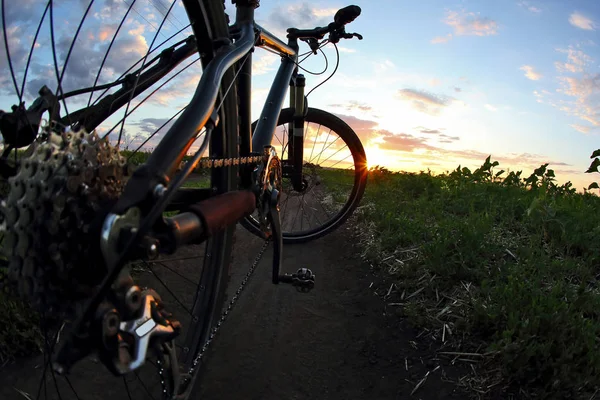 Fahrrad hautnah auf dem Trail bei Sonnenuntergang — Stockfoto