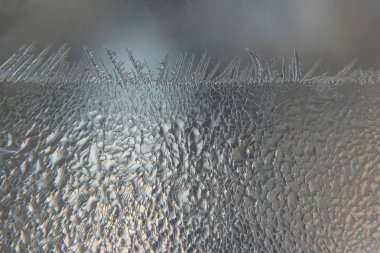 Kış penceresindeki alışılmadık don.