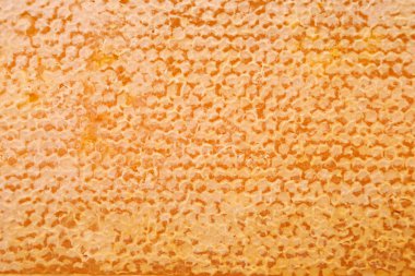 arka plan doku bal closeu