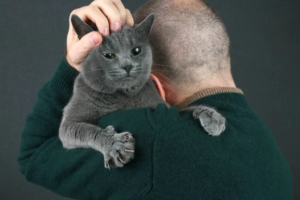 Gato cinza sentado no ombro de uma ma — Fotografia de Stock