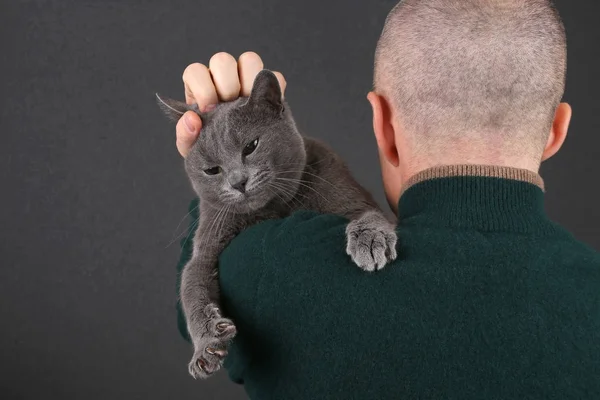 Šedá kočka sedí na rameni muže — Stock fotografie