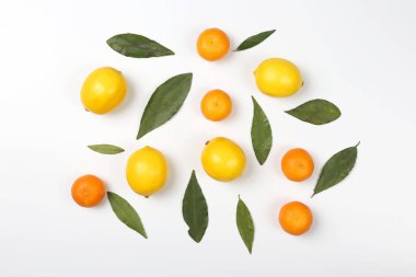 mandalina ve limon ile beyaz bir adam yapraklarda