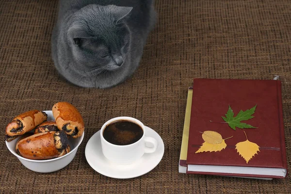 gray cat sitting near a white Cup of black coffee and rolls with