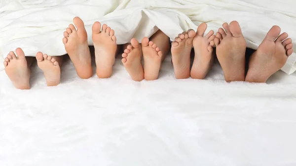 Many children 's feet peeking from under the blanket — стоковое фото