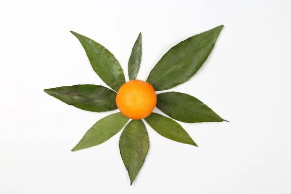 Mandarin avec des feuilles sur fond blanc — Photo