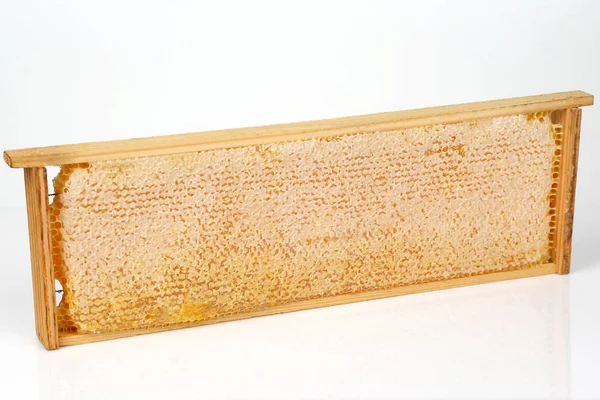 Honeycomb ram på vit bakgrund — Stockfoto