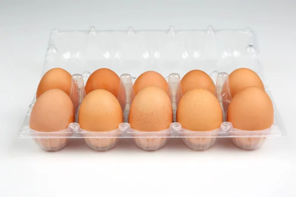 흰색 배경 상자에서 치킨 계란 — 스톡 사진
