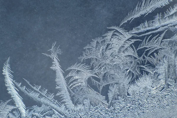 The unusual frost on a winter window — Stock Photo, Image