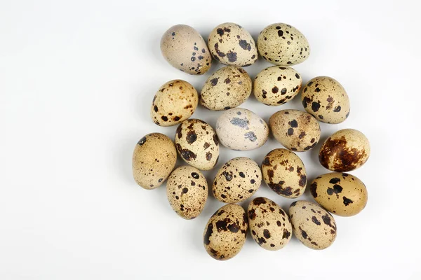Huevos de codorniz sobre fondo blanco —  Fotos de Stock