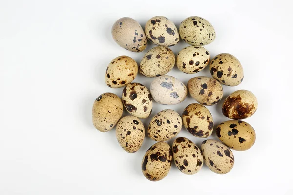 Huevos de codorniz sobre fondo blanco — Foto de Stock