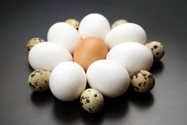 karanlık adam üzerinde daire içinde farklı tavuk yumurtası yalan