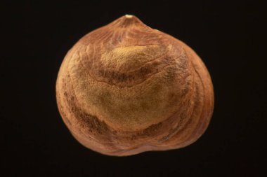 Fındıklı siyah arka planda yakın plan. Sağlıklı yiyecek ve vitamin