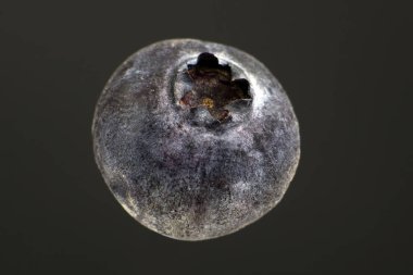 Siyah arka planda yaban mersinlerinin makro fotoğrafları. Sağlıklı...