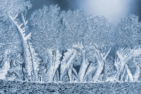 Ongewone vorst op een venster winter — Stockfoto