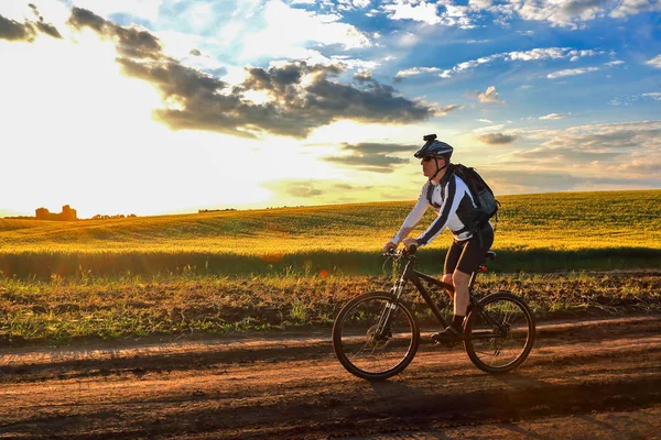 Radler auf Radtouren entlang der Weizenfelder im Sonnenlicht — Stockfoto