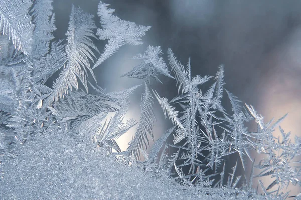 Морозильні візерунки на зимовому склі — стокове фото