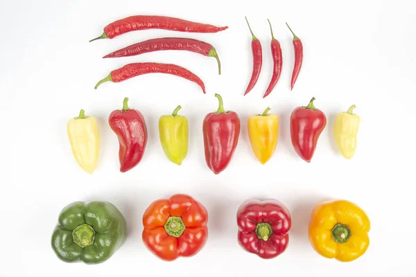Diferentes pimentas doces e amargas coloridas em um fundo branco — Fotografia de Stock
