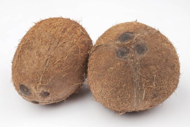 İki hindistan cevizi beyaz bir sırtüstü