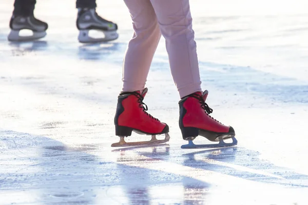 아이스 스케이트장에서 말이야 취미와 스포츠 — 스톡 사진