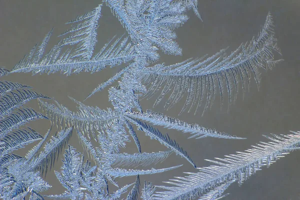 frosty patterns on the window glass closeup. natural textures and backgrounds. ice patterns on frozen