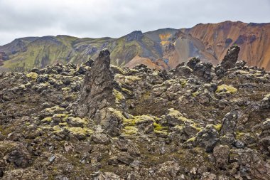 Landmannalaugar 'ın volkanik manzarasının renkli dağları. İzlanda