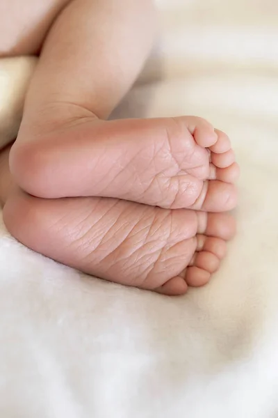 Feet Sleeping Newborn Baby Close — Stock Photo, Image