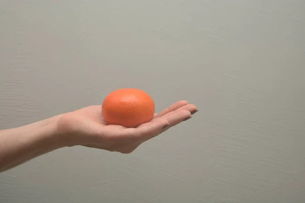 Женская рука держит апельсиновые цитрусовые — стоковое фото