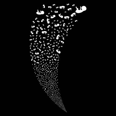 İnsan embriyo rastgele akım