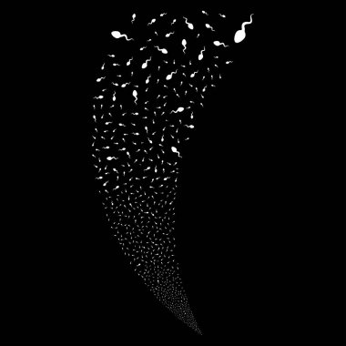 Spermatozoon rastgele akım