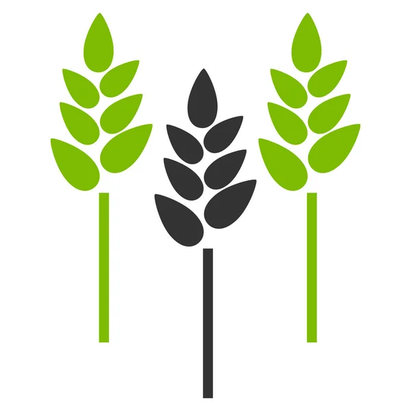 Weizenähren flache Vektorsymbole — Stockvektor