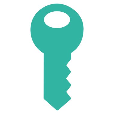 anahtar düz vektör simgesi