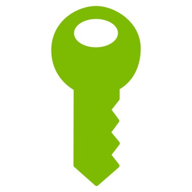 anahtar düz vektör simgesi