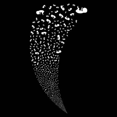 İnsan embriyo rastgele akım